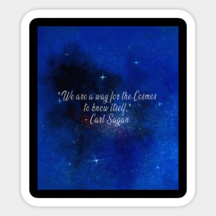 “We are a way for the cosmos to know itself.” Sticker